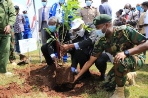 Equity Plants 7,000 Trees at various UoN Campuses
