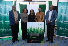 AGRA Unveils Strategy to Boost Food Security in Kenya