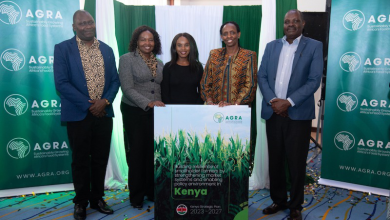 AGRA Unveils Strategy to Boost Food Security in Kenya