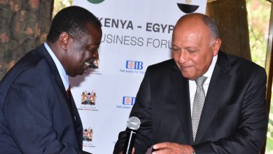 Kenya-Egypt Business Forum