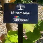 MultiChoice Talent Factory The Earthshot Prize partnership